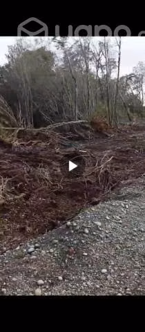 Terreno ubicado en Ancud frente al rio
