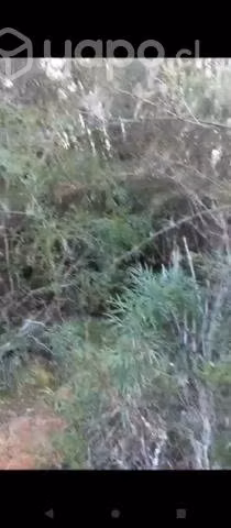 Terreno ubicado en Ancud frente al rio