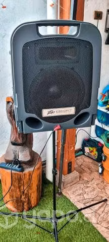 Sistema de Audio Peavey Escort 3000 - Imagen 5