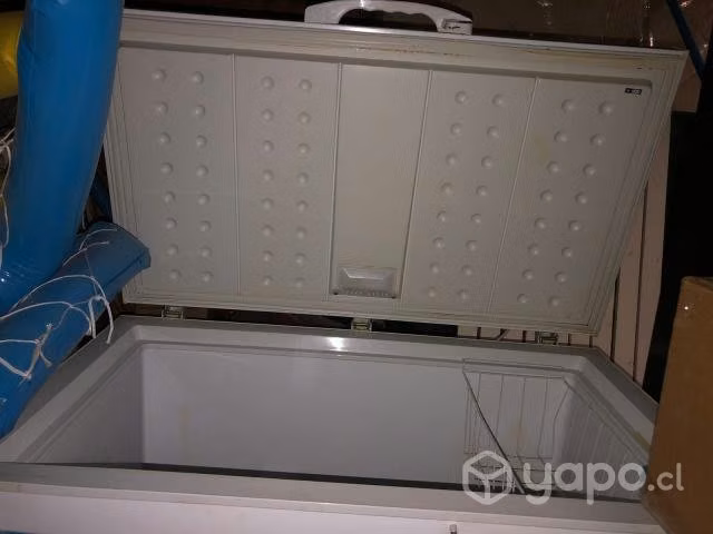Congeladora 295 Litros