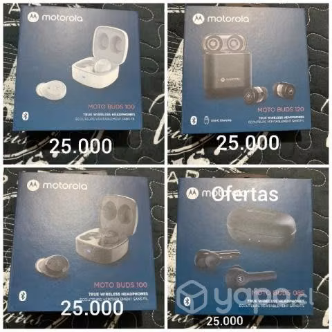 Audífonos