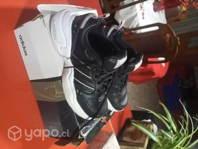 zapatilla