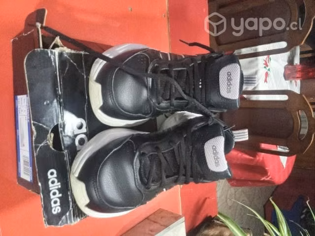 zapatilla