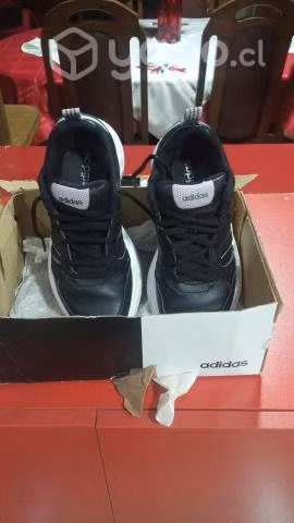 zapatilla