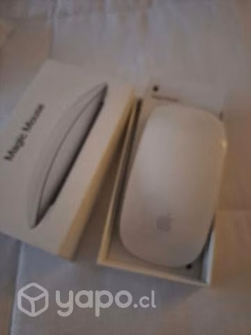 Magic mouse