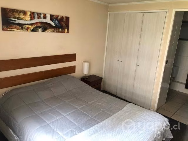 Departamento 35 M2 Amoblado Metro Toesca - Imagen 11