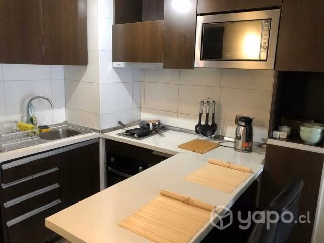 Departamento 35 M2 Amoblado Metro Toesca - Imagen 14