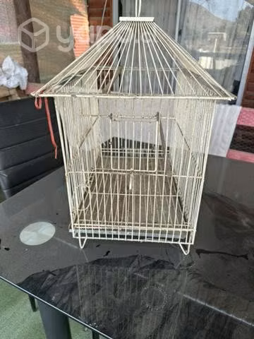 Jaula para aves