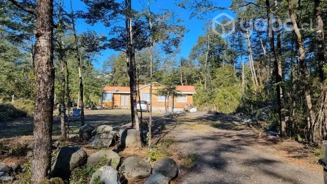 Parcela con casa y bosque nativo