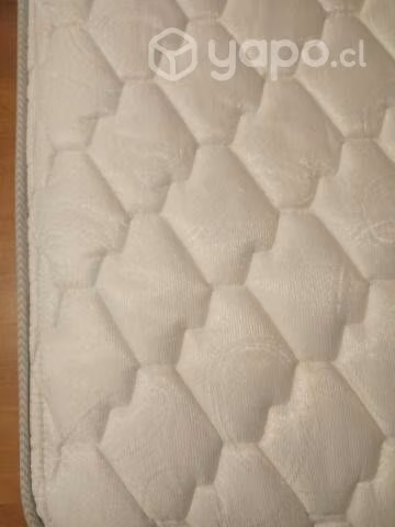 Cama Rosen