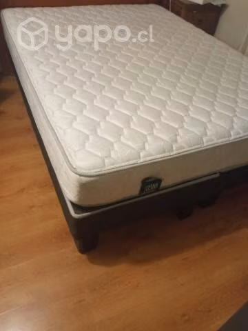 Cama Rosen