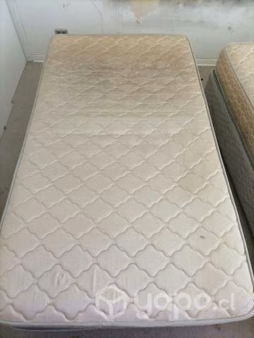 Cama plaza imedia