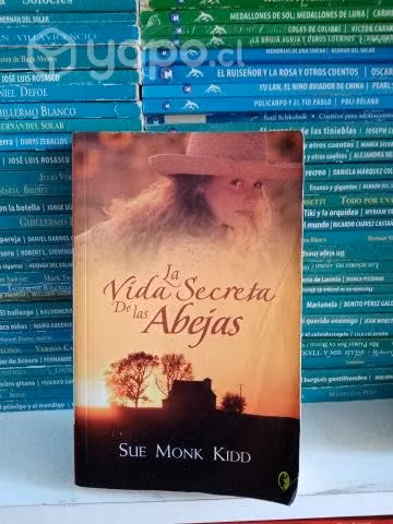 La vida secreta de las abejas
