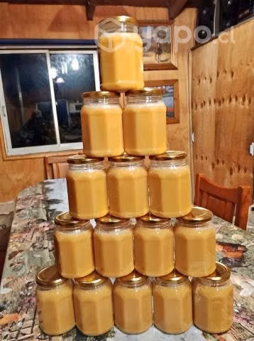 Miel de Ulmo