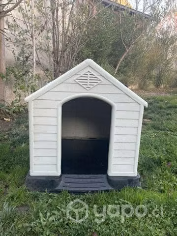 Casa perrito