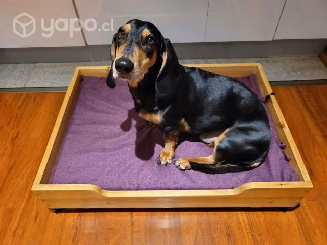 Cama para mascotas