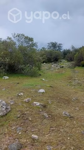 Campo a 2 hrs. De santiago