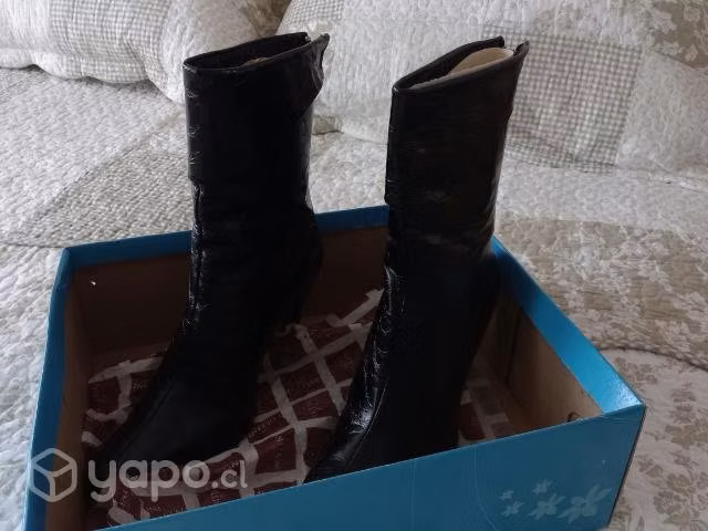 Botas Pollini nuevas
