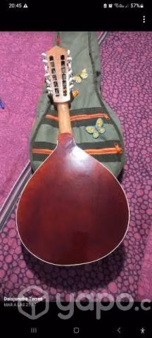 Mandolina 12 cuerdas