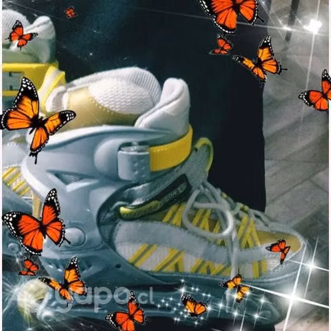 Patines roller y 4 ruedas