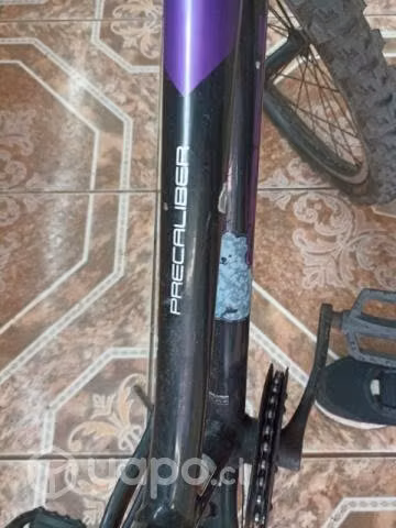 Bicicleta Aro 20