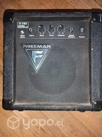 Amplificador marca freeman