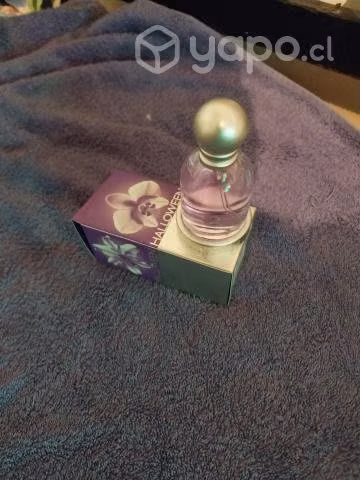 Perfume halloween nuevo original