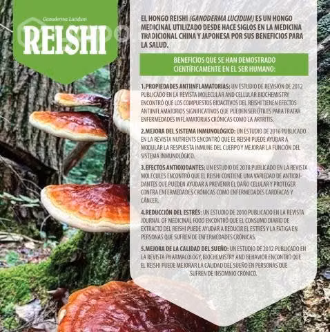 Doble extracto de Reishi 30cc - Imagen 3