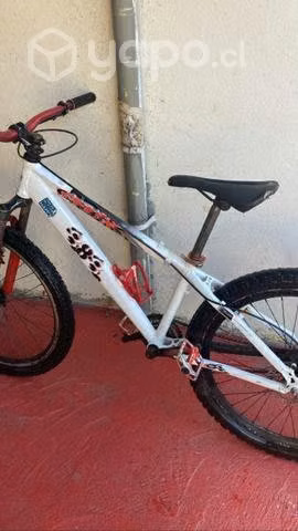 Bici descenso - Imagen 4