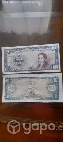 Cien escudos muy bien cuidado existen