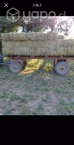 Fardos de Alfalfa