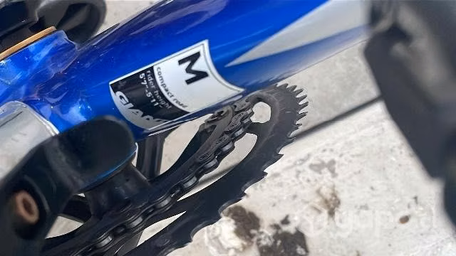 Giant TrinityA2 carbono