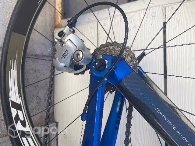 Giant TrinityA2 carbono