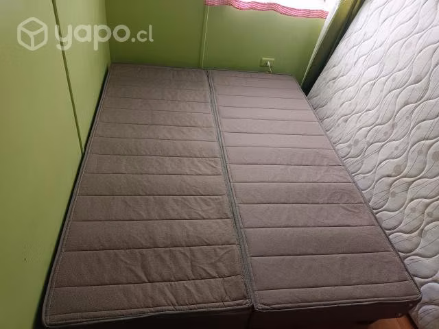 Cama