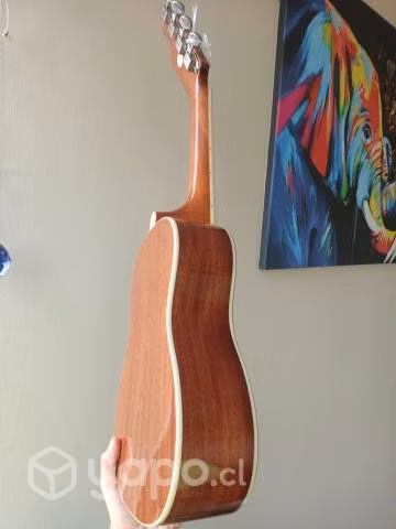 Ukelele - Imagen 4