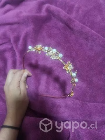 Diadema dorada - Imagen 2