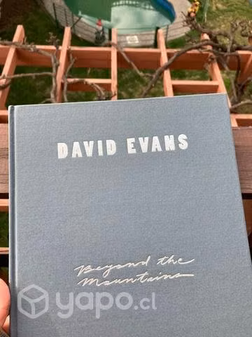 Beyond the mountains by david evans