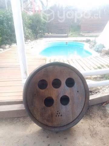 Botellero roble americano