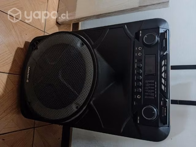 Parlante karaoke Bluetooth masterG