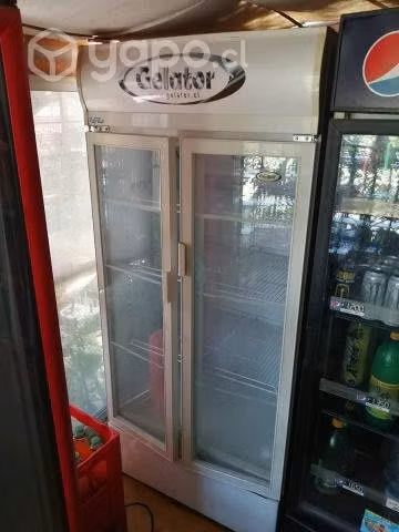 Congeladora y vicicooler