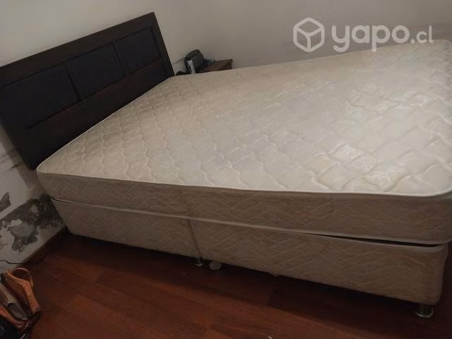 Cama
