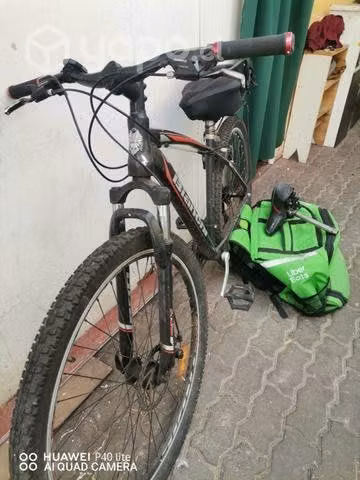 29+morral delivery y+