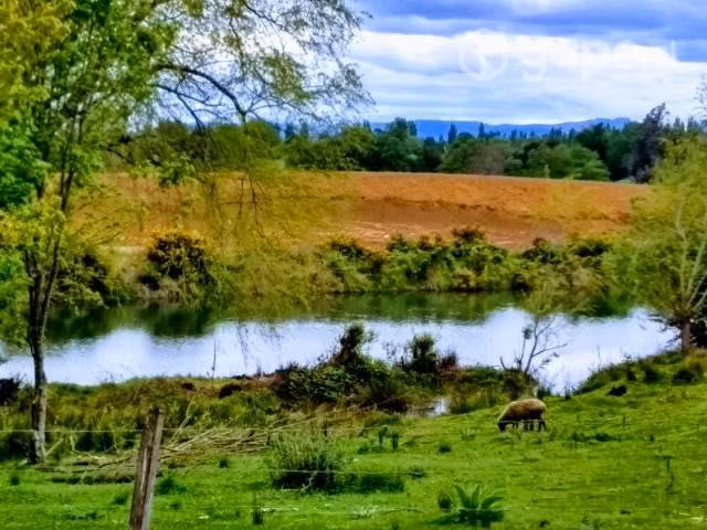 Parcela - Imagen 11