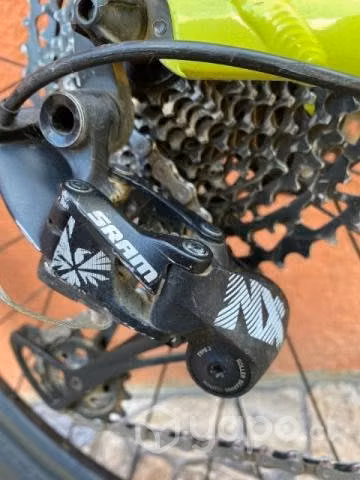 Scott scale 980