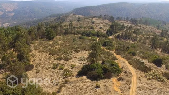 Campo Algarrobo,Oferta 17 Millones/Hectarea