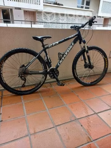 Cannondale Trail 2