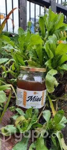 miel organica,100%natural ,sin aditivos.