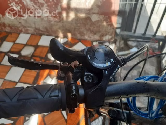 Bicicleta lahsen - Imagen 6