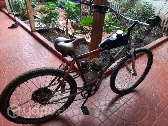 Bicicleta Mosquito - Imagen 2