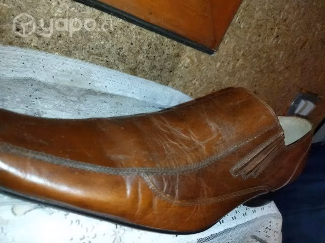 Calsado